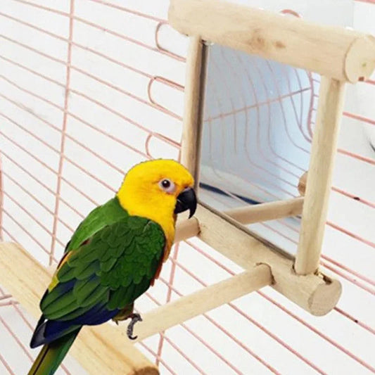 Bird Mirror Toy with Perch Stand