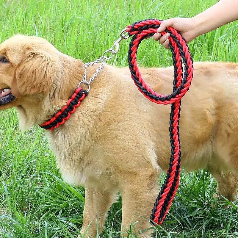 Durable Nylon Dog Collar Leash Set