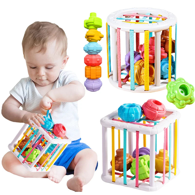 Educational Shape Sorting Baby Toy