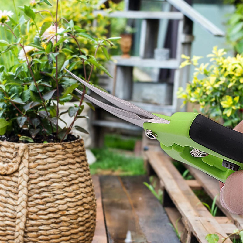 Premium Stainless Steel Bonsai Shears