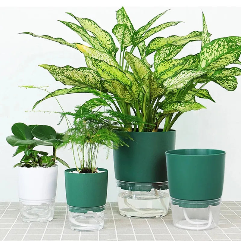 Self-Watering Hydroponic Plant Pot