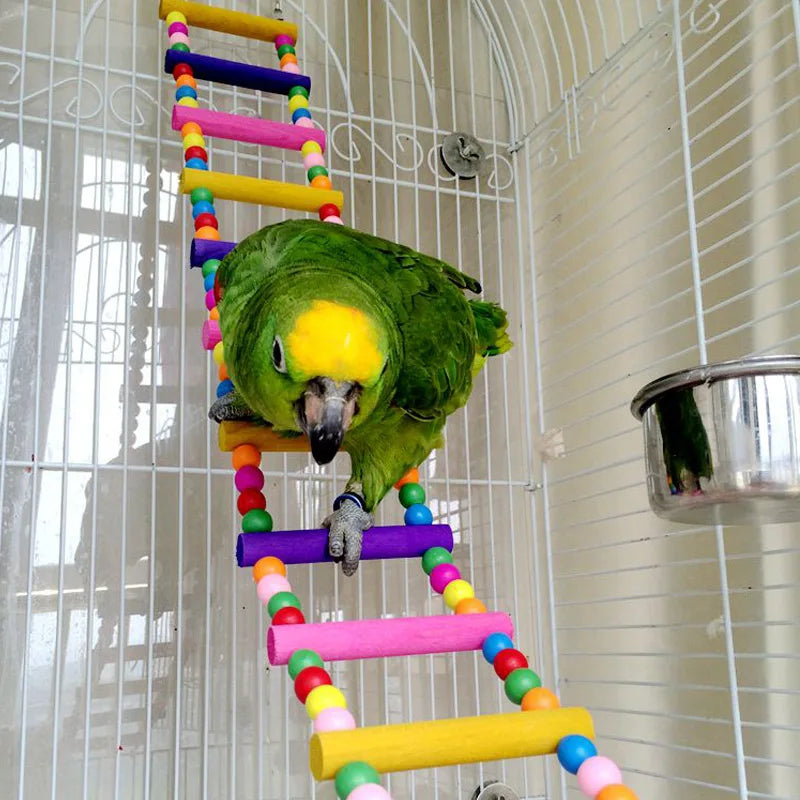 Colorful Bird Parrot Toys Ladders