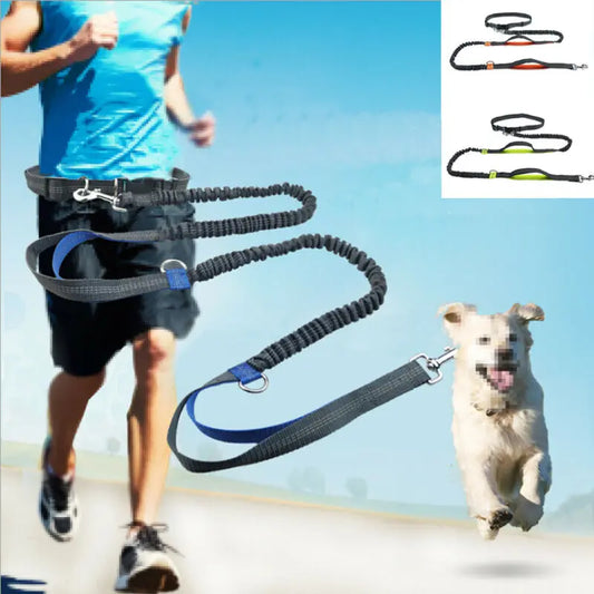 Reflective Hands-Free Dog Leash with Waist Belt