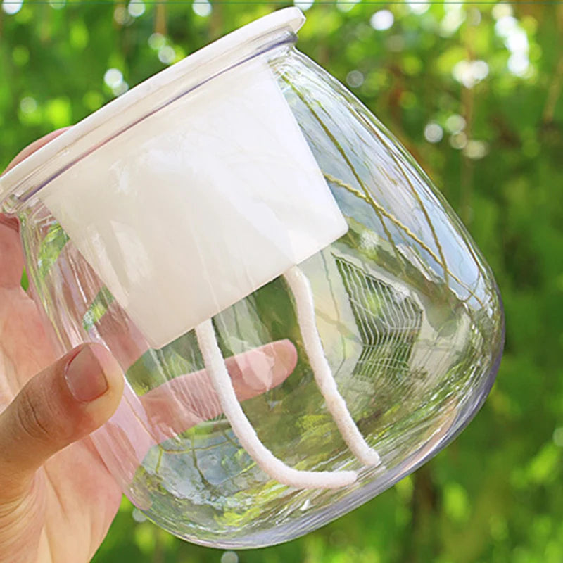 Self-Watering Transparent Flower Pot