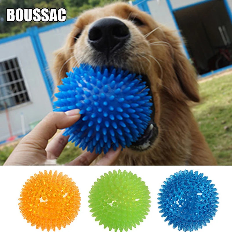 TPR Pet Teeth Cleaning Ball - Squeaky Toy for Dogs