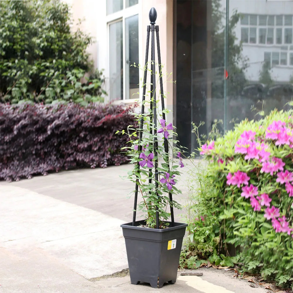 Metal Obelisk Plant Support Frame