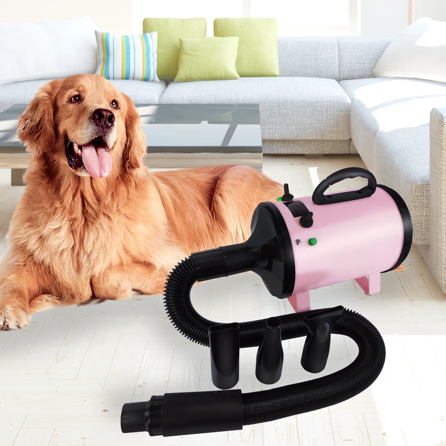 Professional 2800W Dog Hair Dryer with 3 Nozzles