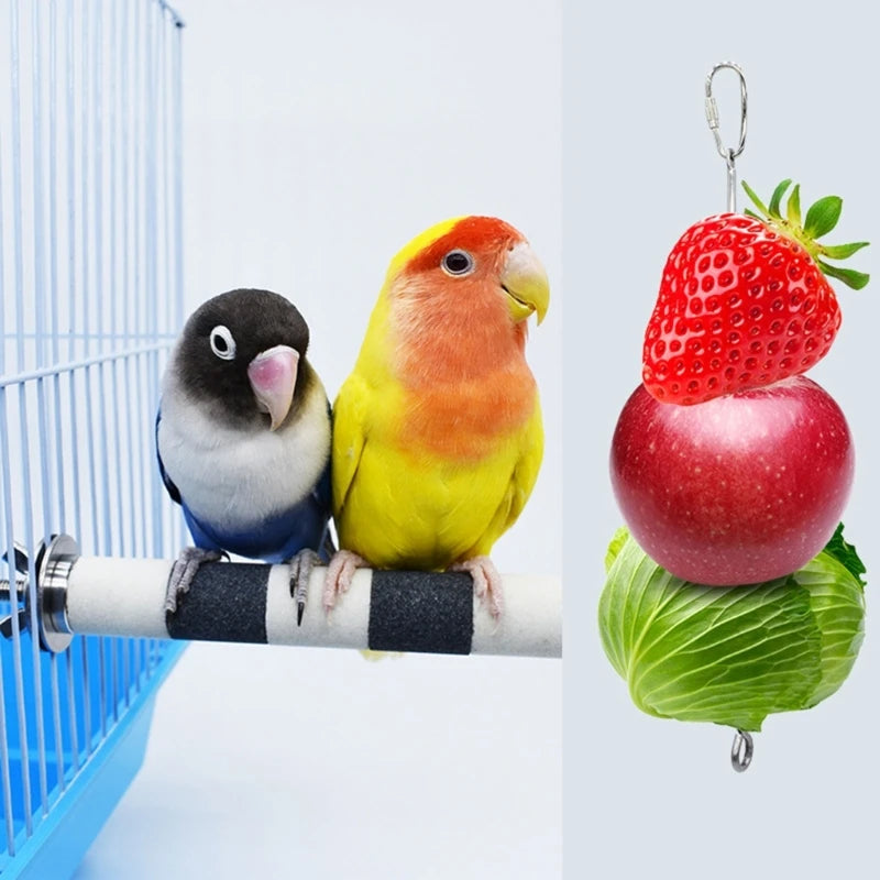 Stainless Steel Bird Fruit Feeder - Healthy Treats for Parrots