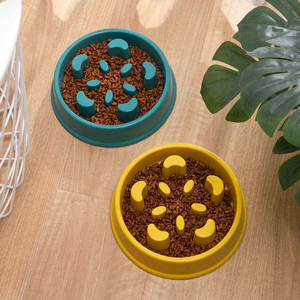 Choke-Proof Pet Slow Food Bowl