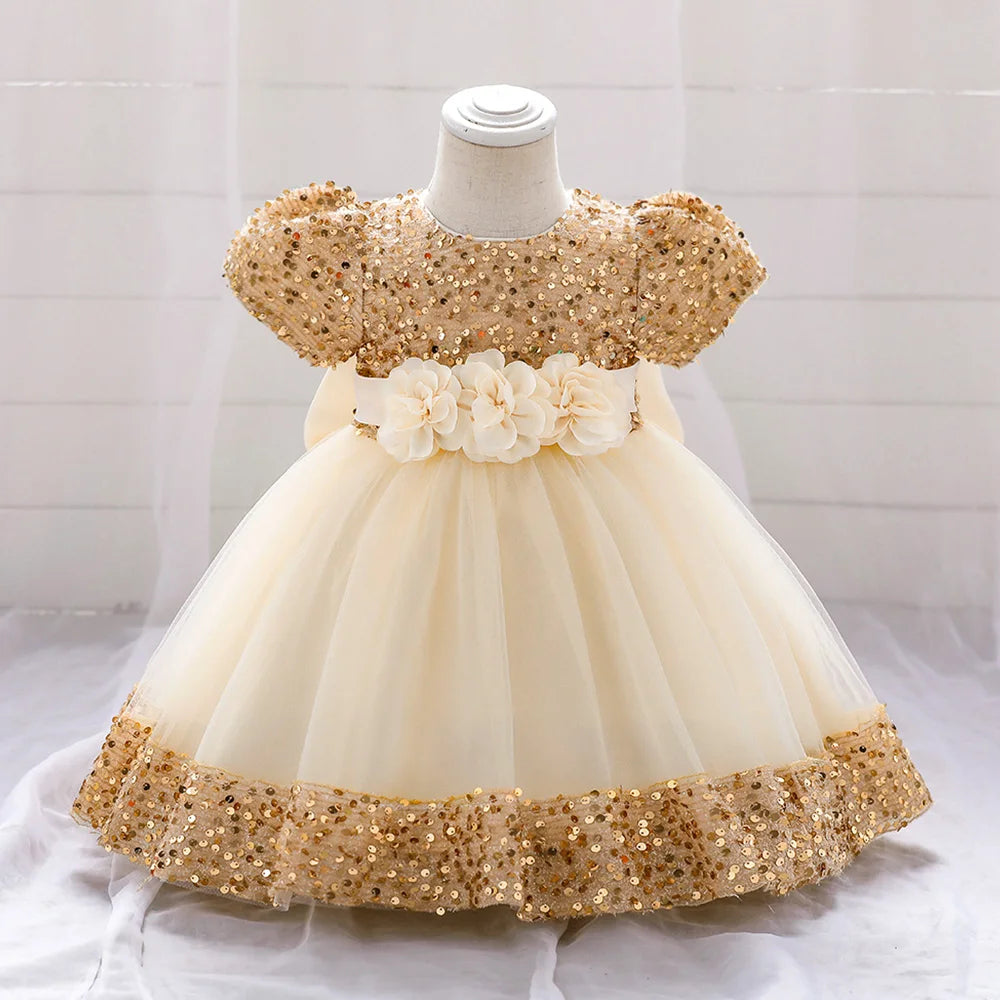 Princess Birthday Party Dress for Toddler Girls