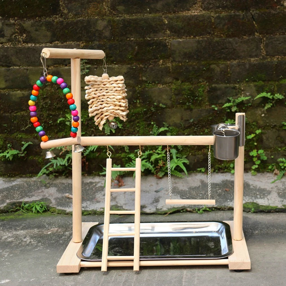 Premium Bird Playground Perch Stand