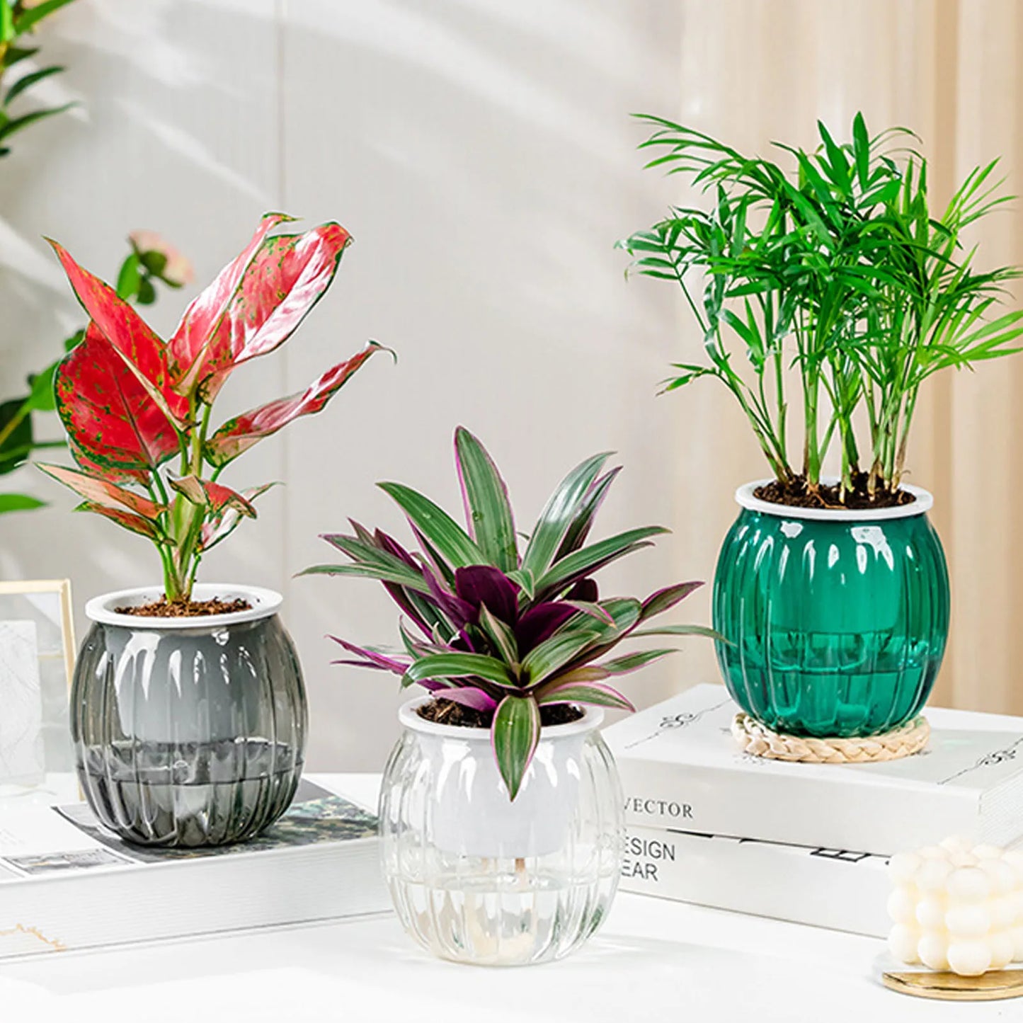 Modern Self-Watering Plant Pots