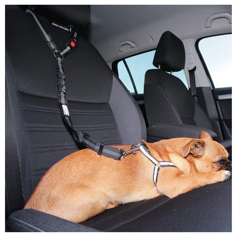 Solid Two-in-One Dog Harness & Leash