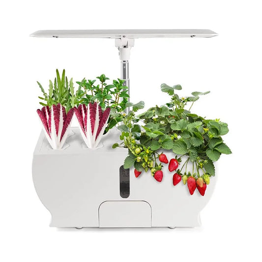 Automatic LED Hydroponic Garden System