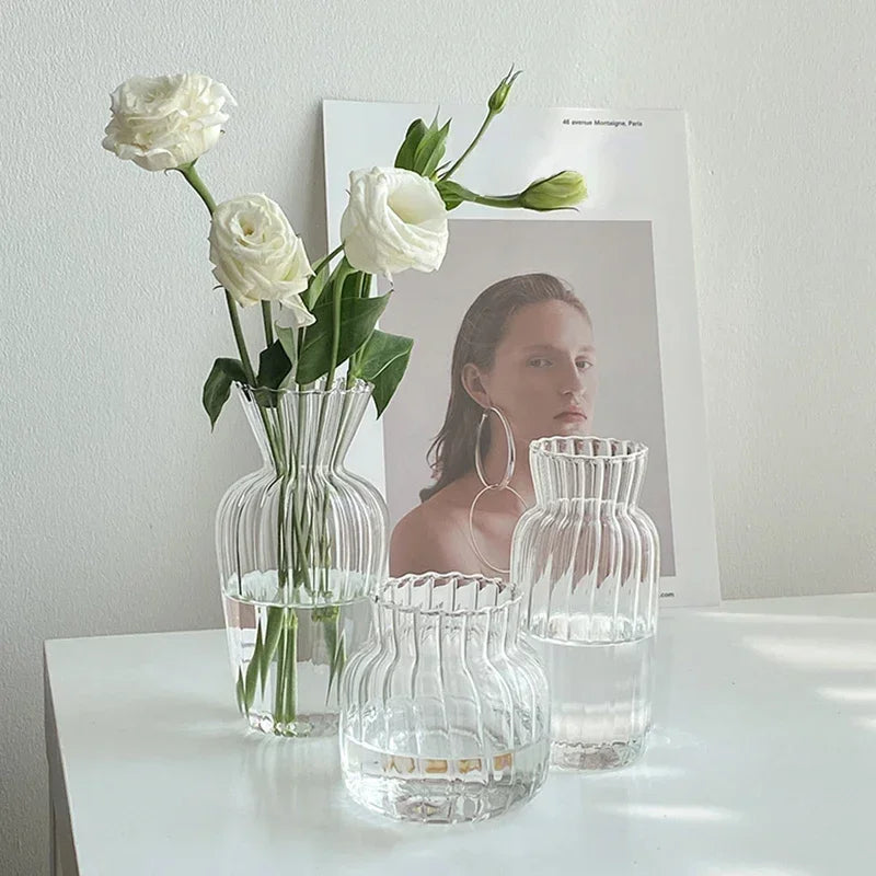 Modern Glass Flower Vase - Living Room Decor Essential