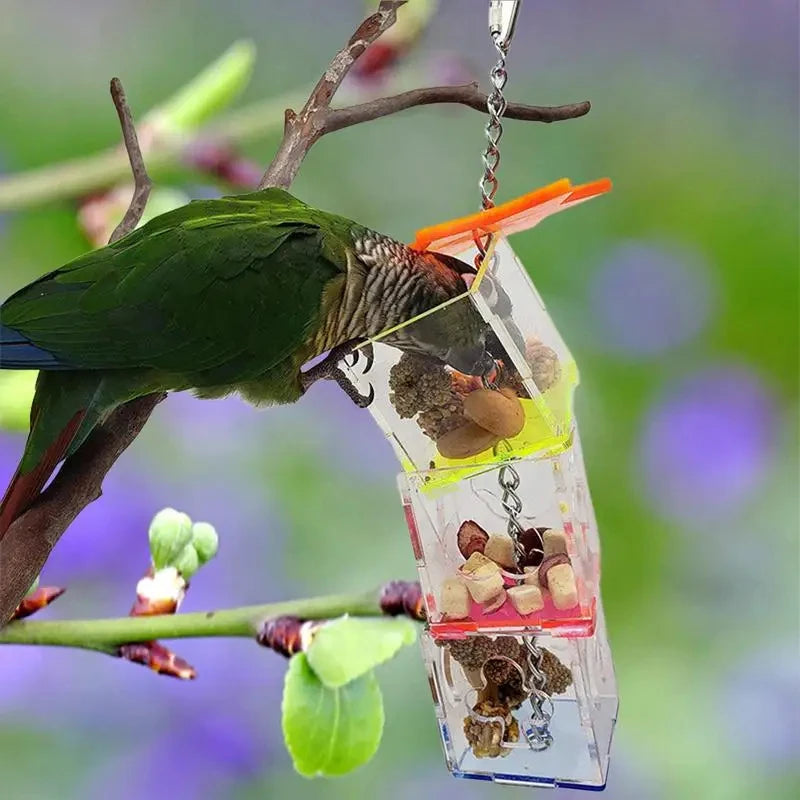 Transparent Parrots Food Feeder