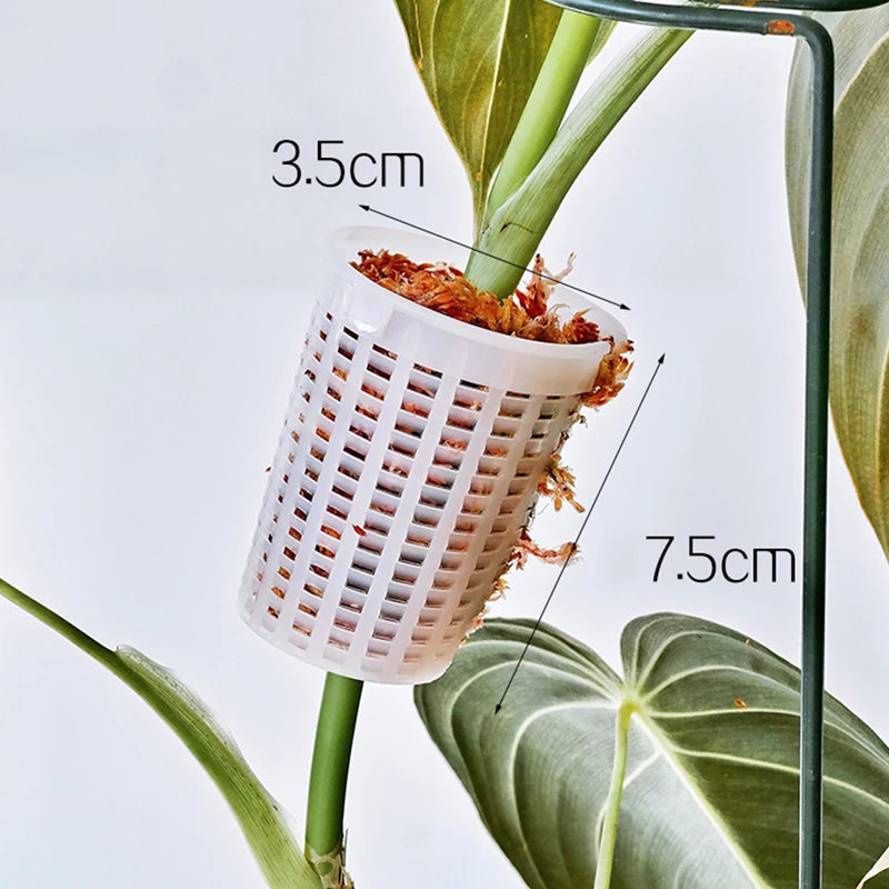 Climbing Plant Support Extension Pole