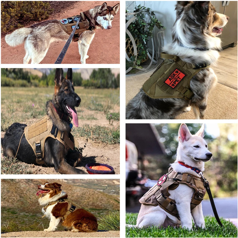 Military Tactical Dog Harness Set