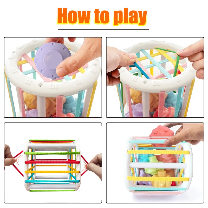 Educational Shape Sorting Baby Toy