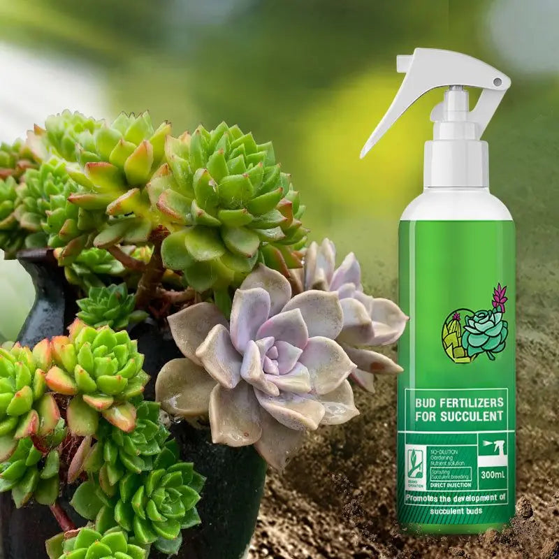 Bud Fertilizer for Succulent Plant 300ml