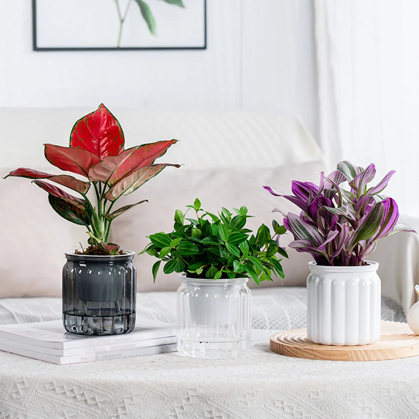 Modern Self-Watering Plant Pots