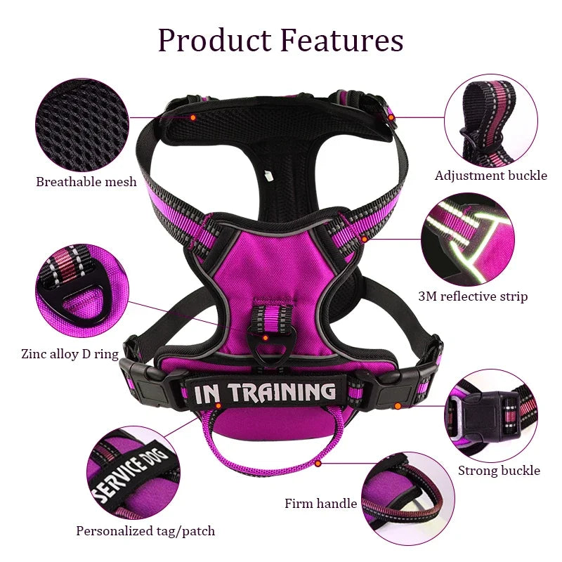 Reflective Nylon Dog Harness - Personalized & Breathable