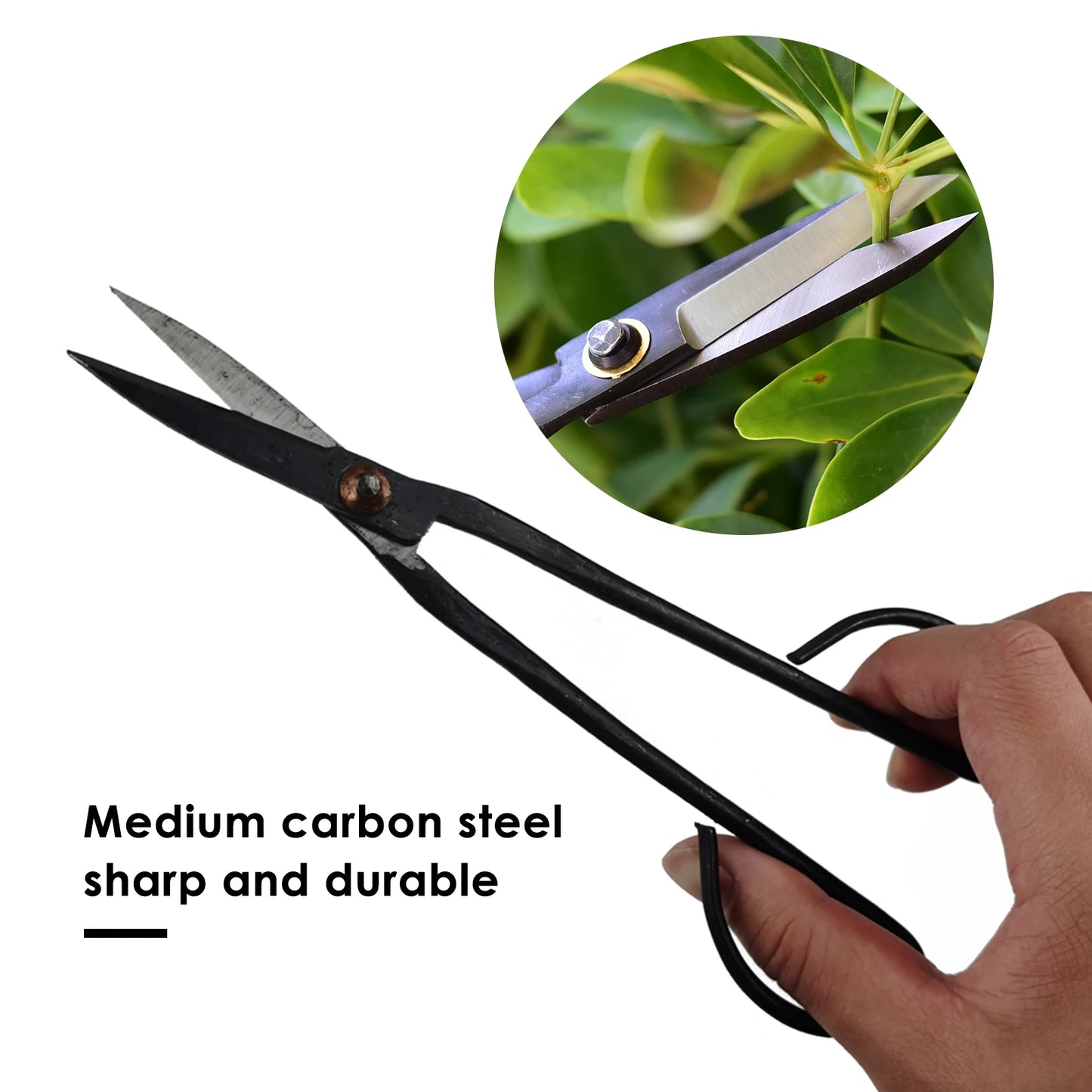 Beginner Bonsai Tool 21cm Long Handle Scissors