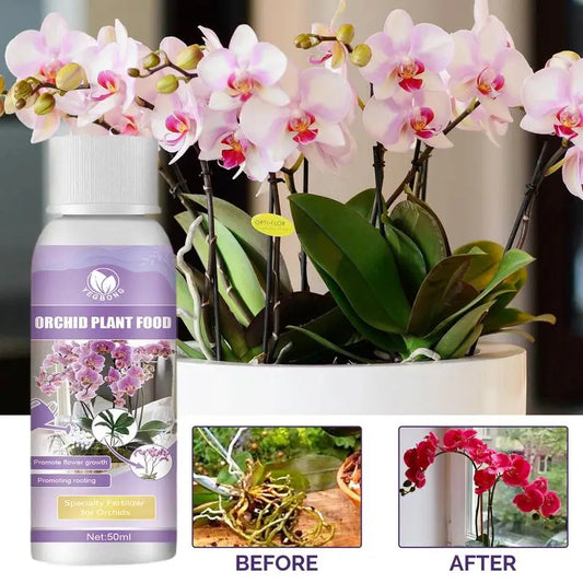 50ml Orchid Fertilizer Liquid