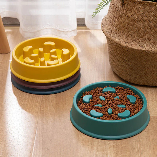 Choke-Proof Pet Slow Food Bowl