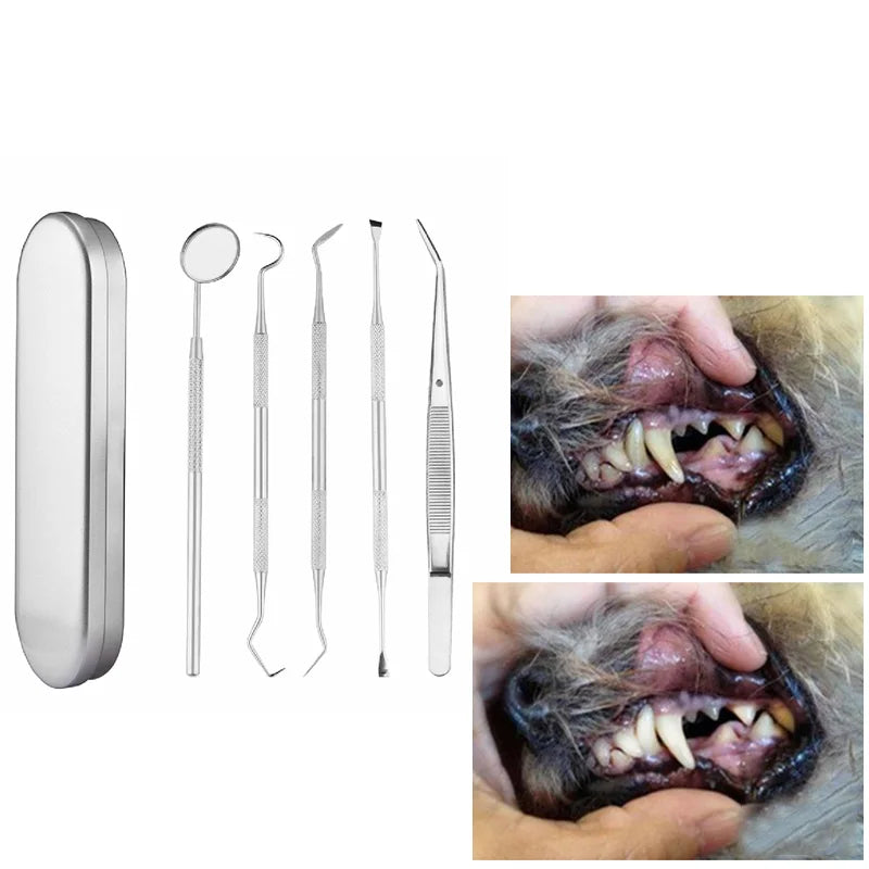 5Pcs Dog Dental Tartar Removal Set