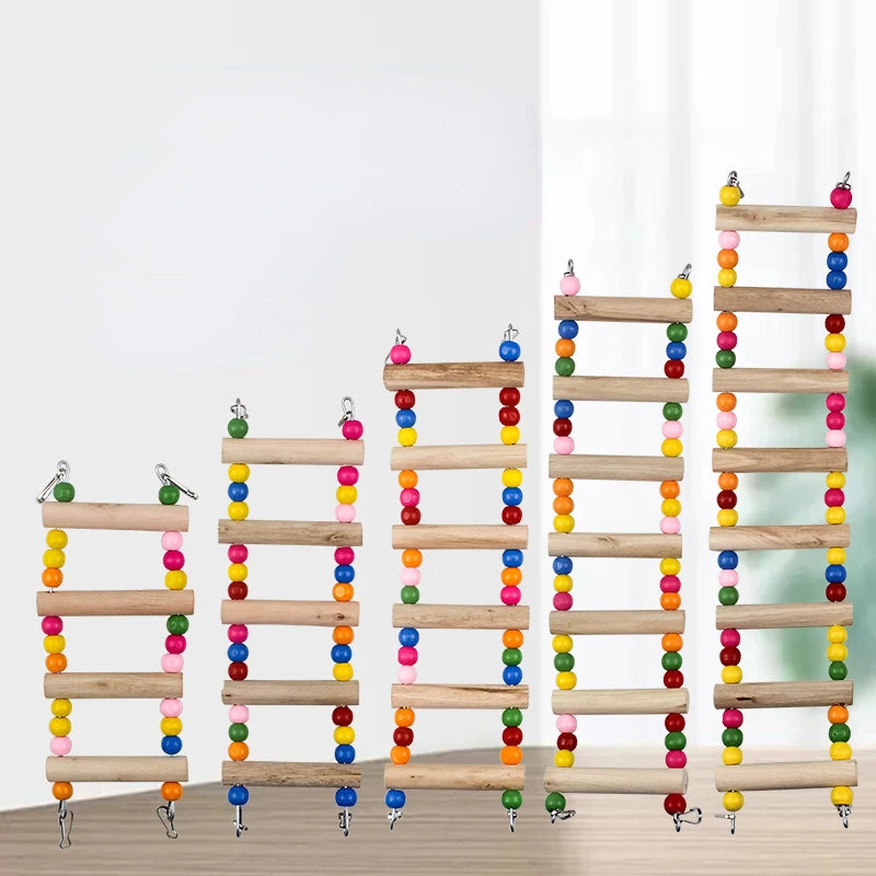 Colorful Bird Parrot Toys Ladders