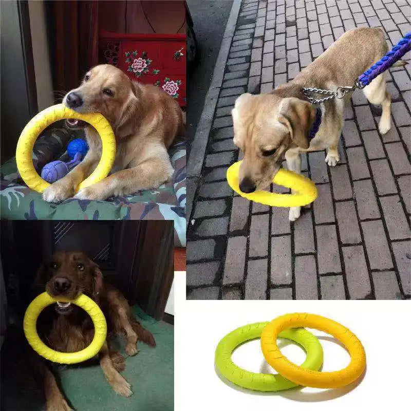 Interactive Floating Dog Training Ring Toy