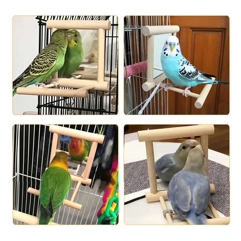 Bird Mirror Toy with Perch Stand