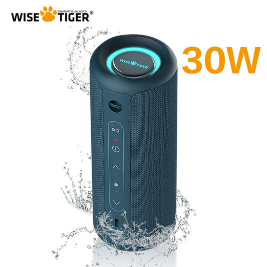 WISETIGER P3 Bluetooth Speaker 30W