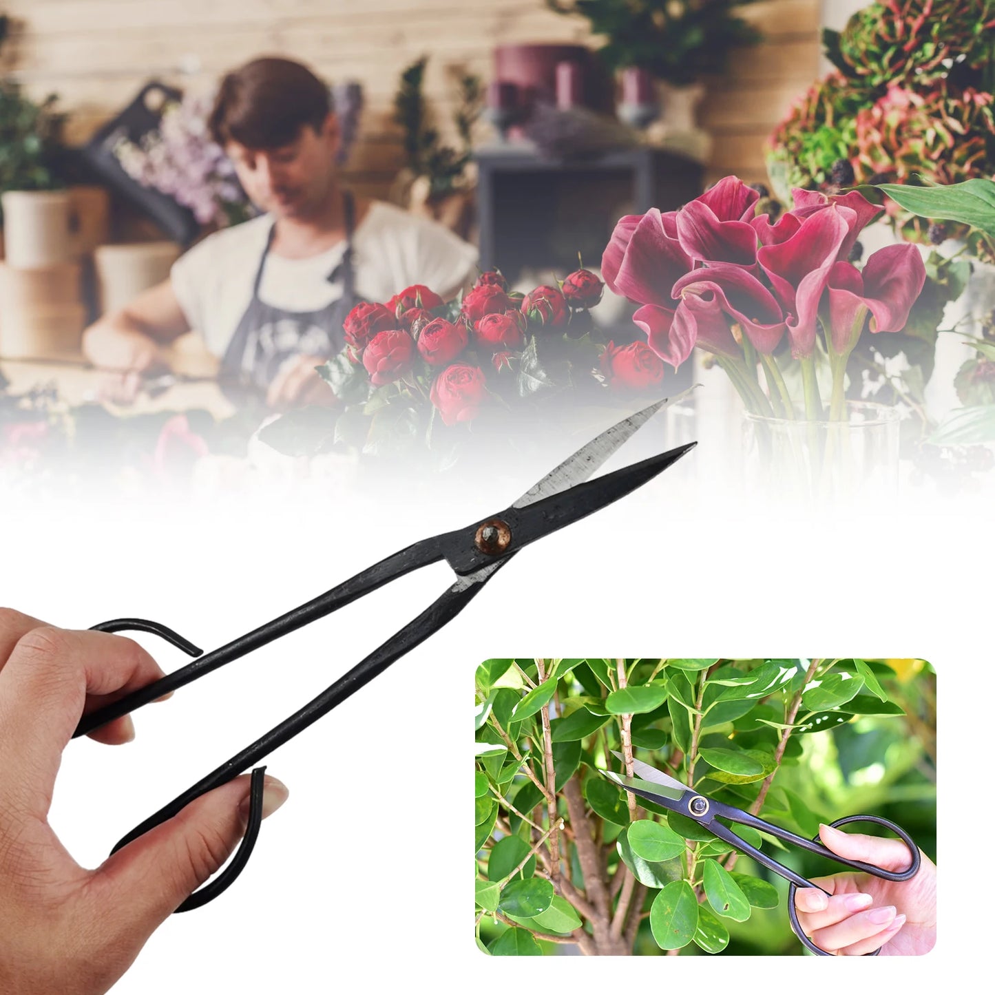 Beginner Bonsai Tool 21cm Long Handle Scissors