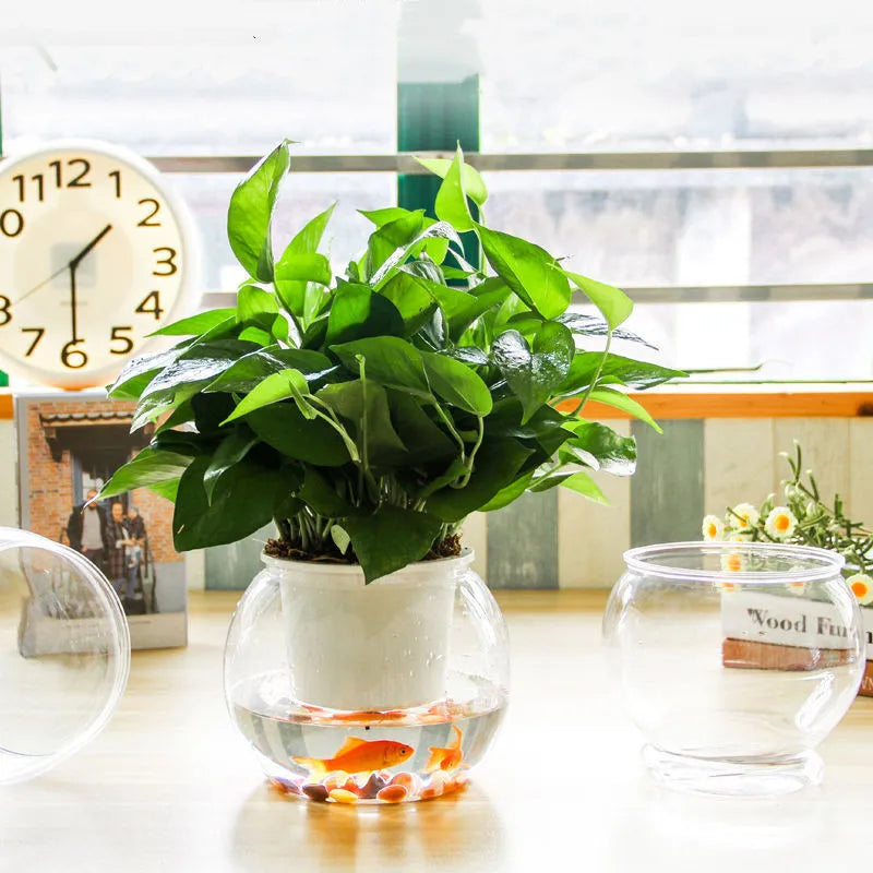 Self-Watering Lazy Flower Pot