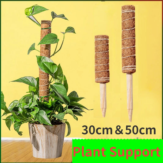 30cm Plant Climbing Coir Totem Pole