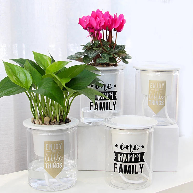 Self-Watering Transparent Flower Pot