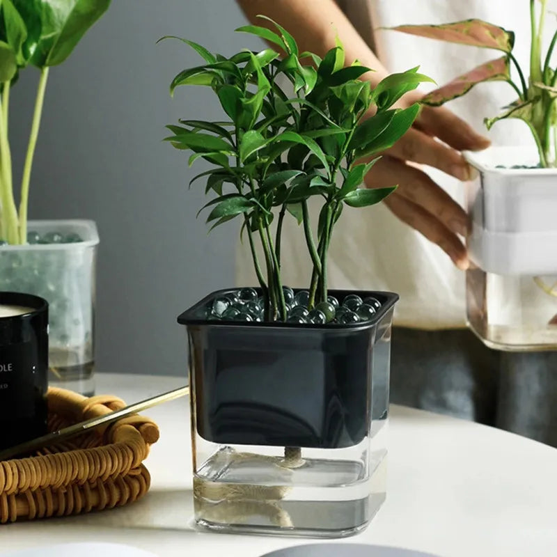 Self-Watering Hydroponic Plant Pot