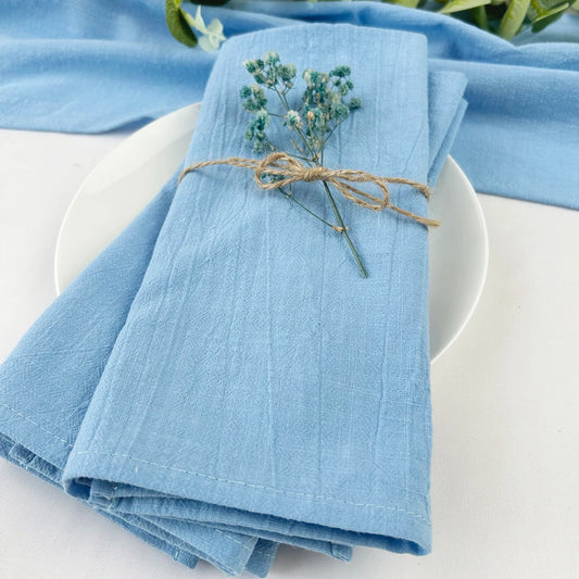 Rustic Blue Cotton Napkin Set