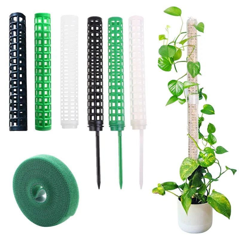 Climbing Plant Support Pole - Easy Vertical Growth