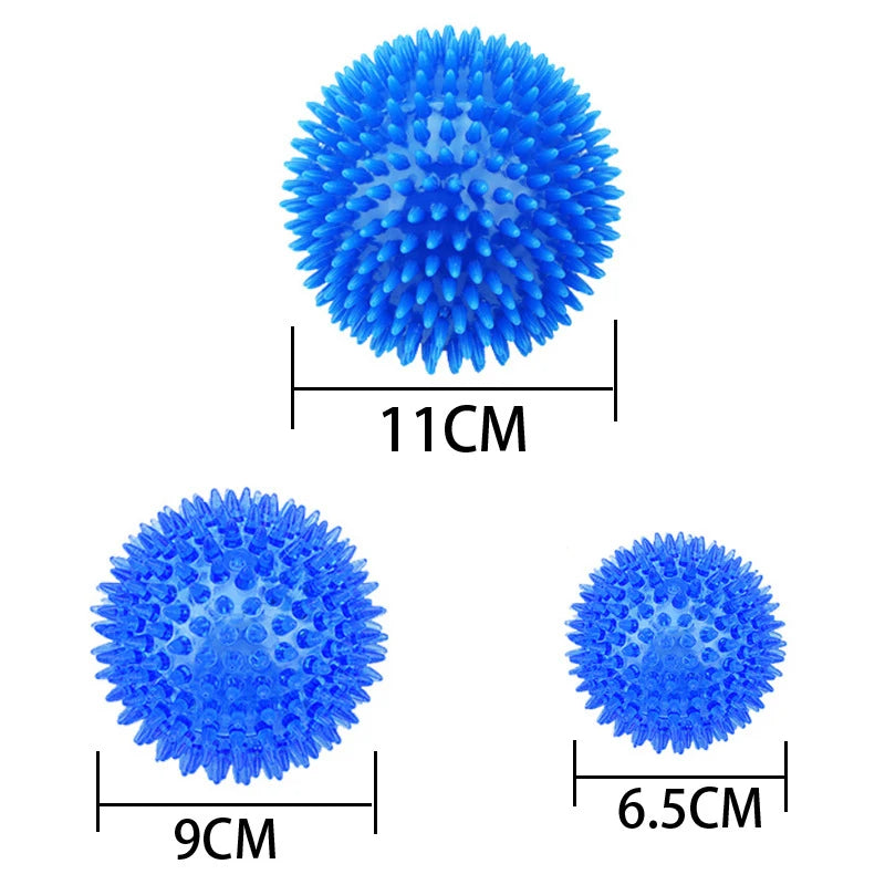 TPR Pet Teeth Cleaning Ball - Squeaky Toy for Dogs