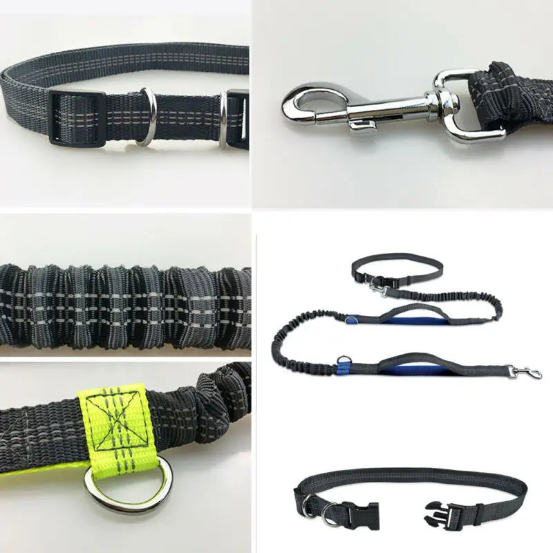 Reflective Hands-Free Dog Leash with Waist Belt