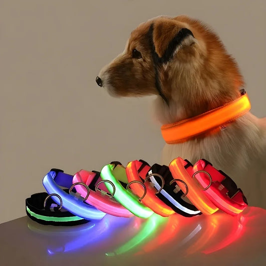 LED Dog Collar Night Safety Flashing