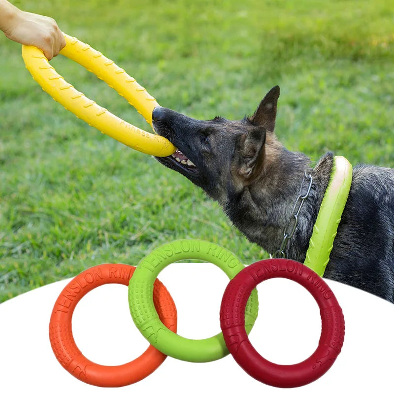 Interactive Floating Dog Training Ring Toy