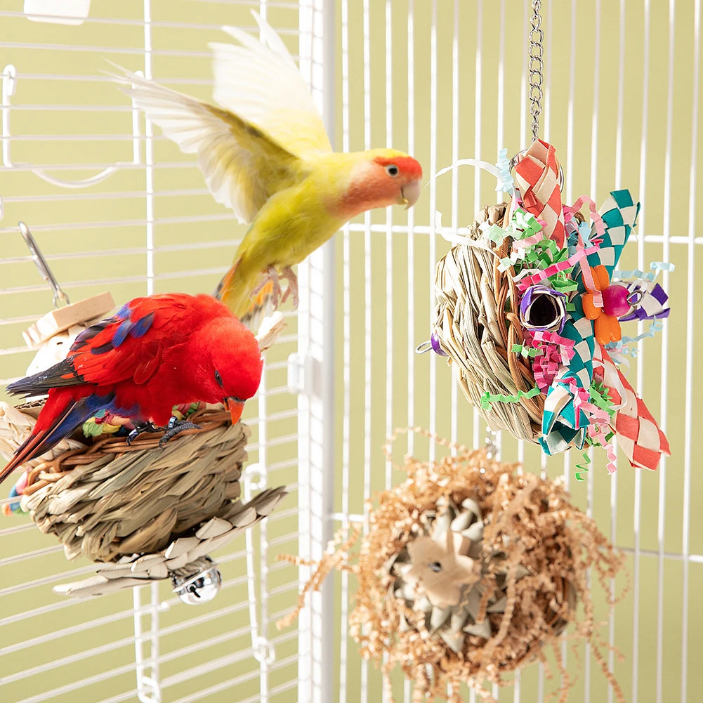 Colorful Bird Chewing Toys Set