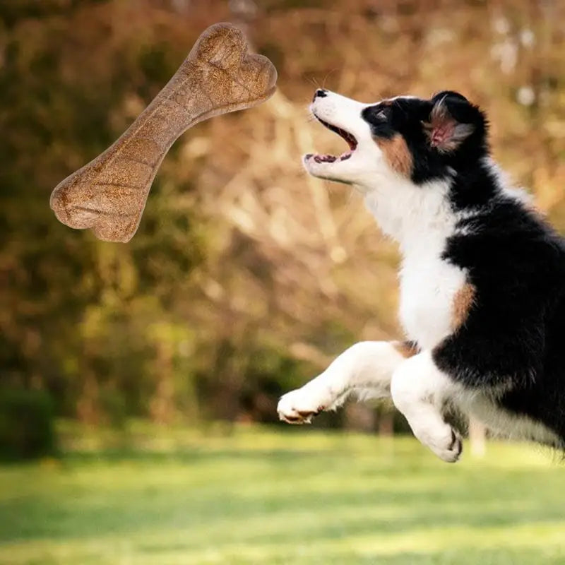 Long-Lasting Hard Chew Bone Toy For Dogs