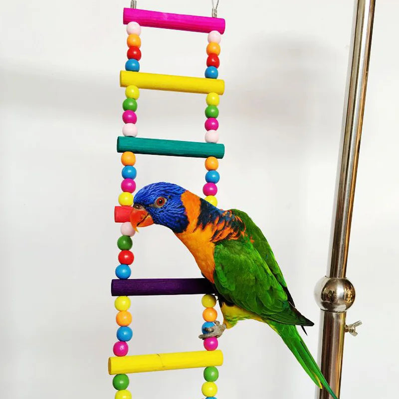 Colorful Bird Parrot Toys Ladders