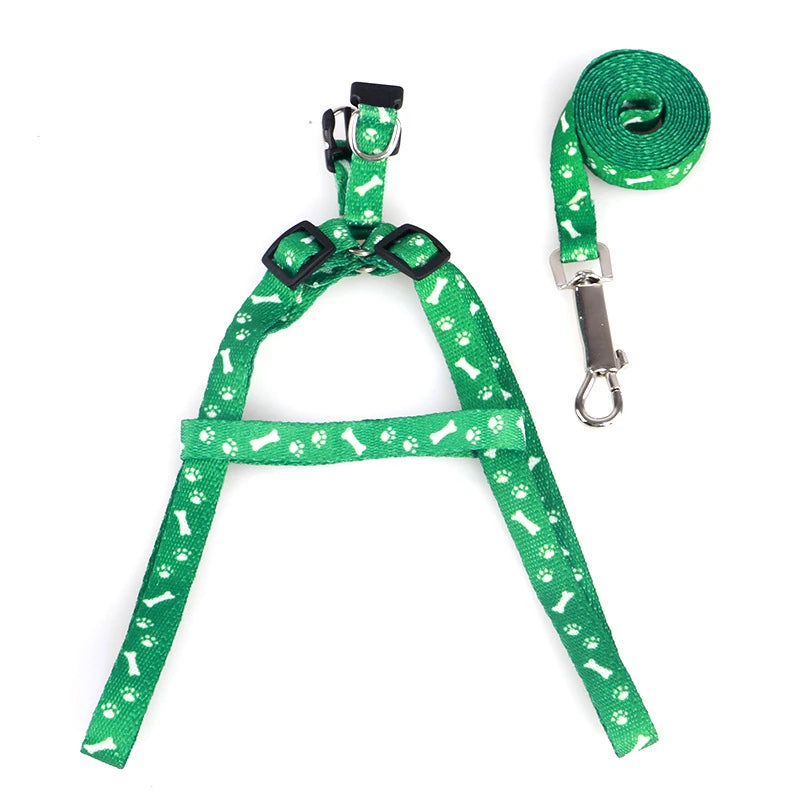 Cute Pet Leash and Harness Set - 10 Colors