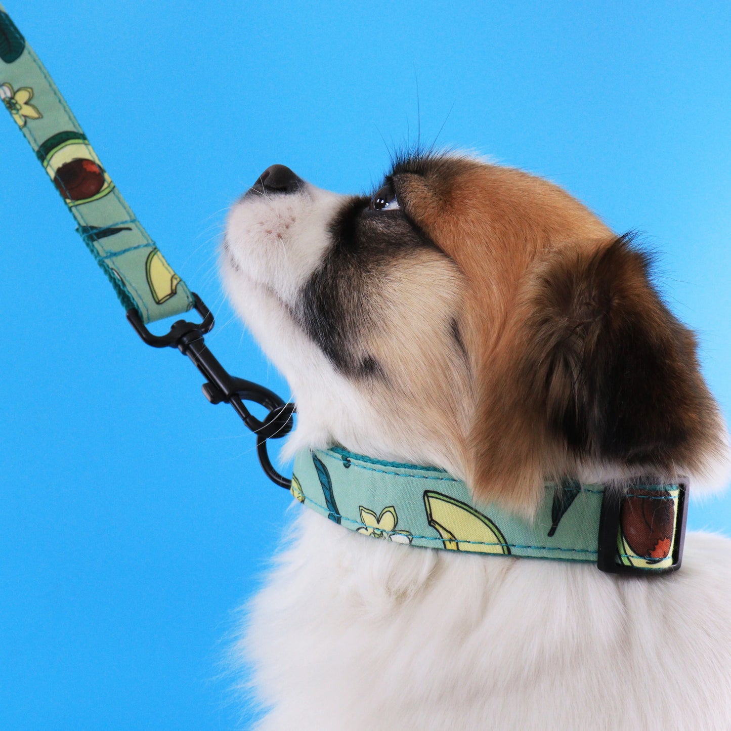 Leopard Green Field Pet Collar Set